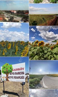 Kadıköy Mahalleye 1000 Metre Mesafede 336 M2 Satılık Bağ Yeri