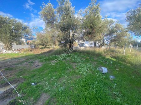 Sabri Pınarbaşı'dan Güre'de Satılık Deniz Tarafında Tek Villalık Arsa