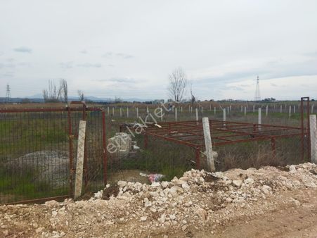 Menderes Turyap'tan Oğlananasında 886m² Hisse Tapulu Tarla