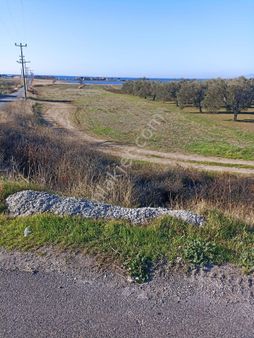 İzmir Aliağa Aşağışakran Mah Yola Sıfır Satılık Tarla