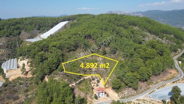 Satılık 4893 M2 Tarla- Doğanın Kalbinde