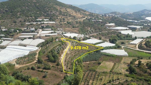 Satılık 9478 M2 Meyve Bahçesi