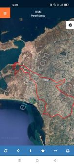 Buse Emlaktan Ayvalıkta Yatırımlık Zeytinlik