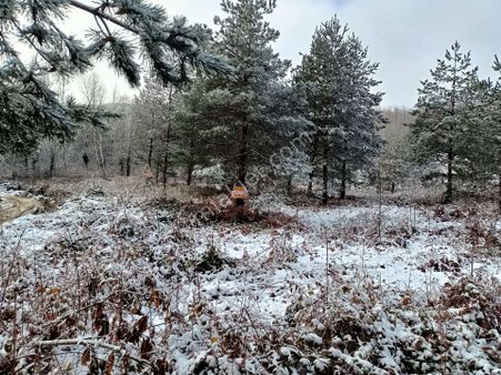 Sakarya Sapanca Memnuniye De Satılık Bonglowluk Arazi