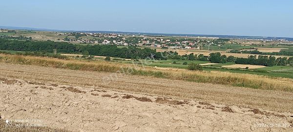 Saray Çukuryurt'ta Tamamı 2520 M2 Tek Tapu Mustakil Tapulu Tarla