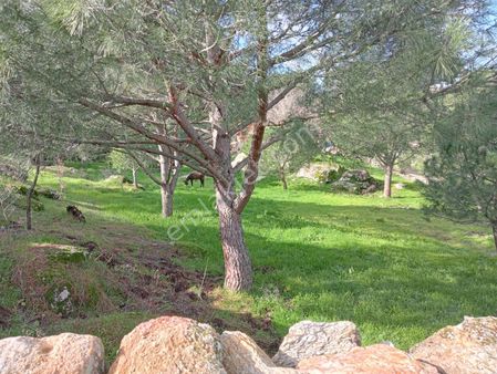 Satılık Köy Evi Arsası