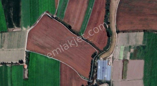 Güvenay - Yeni İskilip Yolu Üzeri Ömer Beye Yakın 26 Dönüm Satılık Tarla