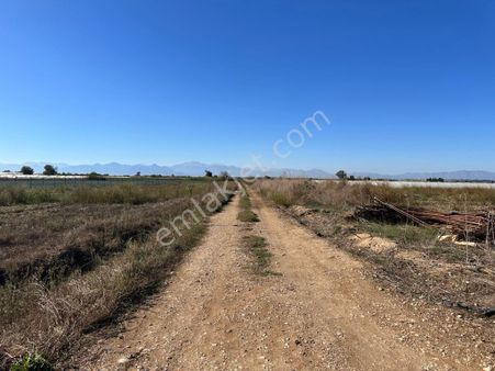 Aksu Çayına Yakın Tek Hisseli Yolu Olan 6 Dönüm Tarla