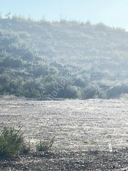 Manavgat Evrenleryavşı Da Tek Tapu Satılık Tarla