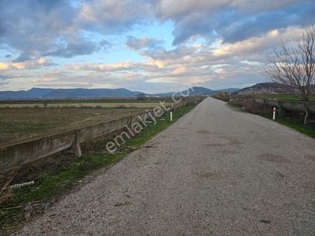 İzmir Foça Gerenköy De Satılık Tarla