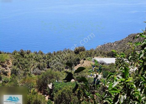 Gazipaşa Satılık Arsa Deniz Manzaralı 1.300 M2 Zeytinada