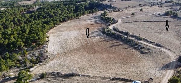 Altın Emlak Denizli Sarayköy Şubesinden Pamukkale-uzunpınar Mahallesinde "satılık Tarla"