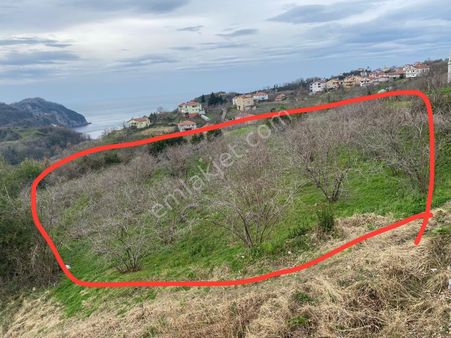 Kdz Ereğli Net Emlak Tan Keşkek Te Özel Villa Ve Bungalova Uygun Satılık Tarla