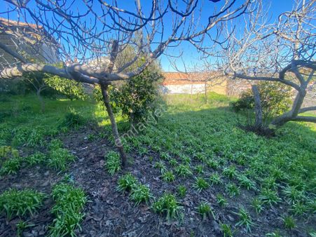 Poyraz Gayrimenkul'den Havran Küçükdere Köy Merkezinde Satılık 1400m2 Arsa