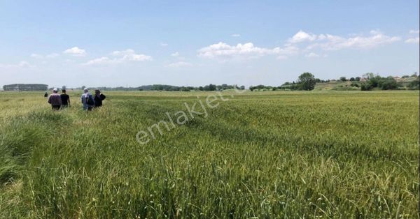 Kırklareli Lüleburgaz Ovacık Köyü Yatırımlık Parsel
