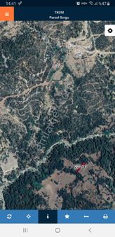 Kumluca Büyükalan Da Satılık Tarla