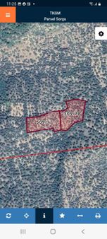 Küçükkuyu Kazdağları Adatepe Köyü 9045 M2 Bakımlı Zeytinlik Düzde