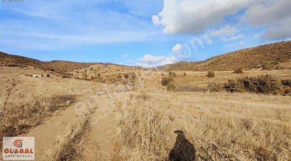 Global Gayrimenkul’den Satılık 105 Dönüm Tarla