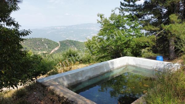 Aydı N Karacasu Da Satılık Elmalık