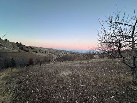 Emeklilerin Rüyası