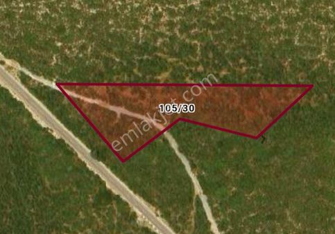 Şirin Gayrimenkül Den Muğla Milas Bozbük Kaplankaya Mevkide Satılık Zeytin Bahçesi