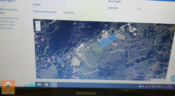 Maçka Reşadiye Mah. Satılık 3531m2 1/2 Hisse Fındıklık Arazi