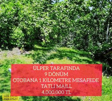 ( 46) Ülper Tarafında 9 Dönüm Otobana 1 Kilometre Mesafede Tatlı Maill