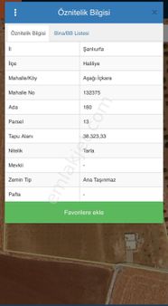 Aşağı İçkara Satılık 11 Dönüm Fıstıklık