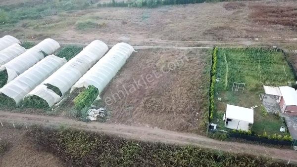 Pendik Göçbeyli Satılık 1300m2 Arsa