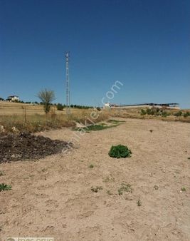 Becende Satılık 6590m2 Ham Bağ