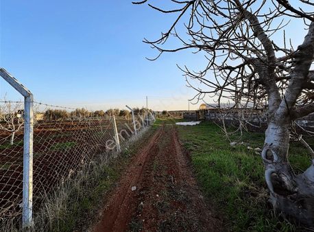 Çözüm Gayrimenkul Dan 2 Parça 2 Tapu Zeytinlik