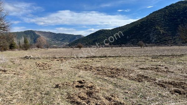 Asya Evim Gayrimenkulden Hisarköyde Satılık Arazi
