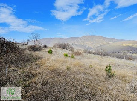 Akalanda Doğa Ve Deniz Manzaralı 2300 M2 Fırsat Tarla