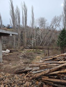 Güvenay - Çorum Büğet Köyü Tek Tapu Satılık Bahçe