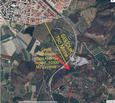 İzmir Selçuk’ta Yanyana Beş Parselde Toplam 10 Dönüm