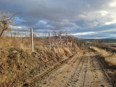 Güvenay - Çorum Ve Baraj Manzaralı Satılık Hobi Bahçeleri