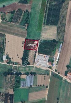 Roma' Dan Çeltikçi De Çevre Yoluna Yakın Satılık İmara Yakın Tarla