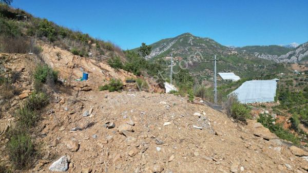 Alanya Çamlıca Mahallesinde Satılık 361 M2 Tarla