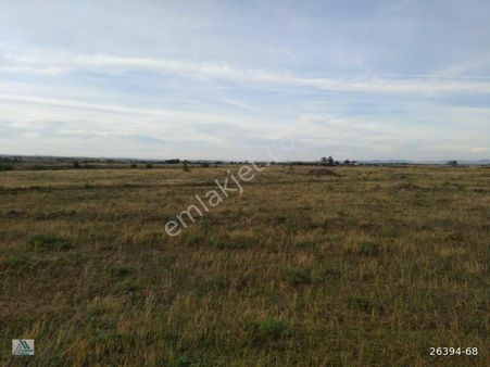 M. Ereğlisi-çeşmeli'de Satılık Verimli 5000 M² Bağ Arazisi