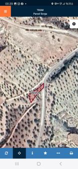 Nizip Sekilide Asfalt Üzeri Tek Tapu Fıstıklık