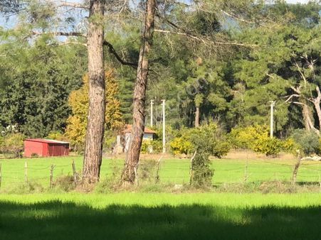 Muğla Ula Karabörtlende Fırsat Arazi