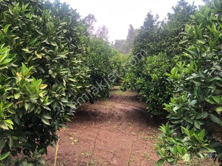 Gökçe Nin En Güzel Fırsat Parseli