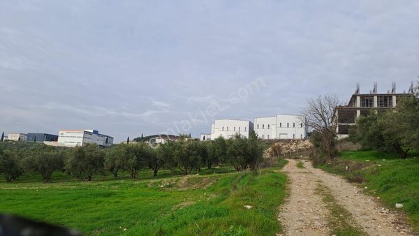 Satılık Hisseli 1125 M2 İtop Organize Sanayiye Yakın Güzel Bir Tarla