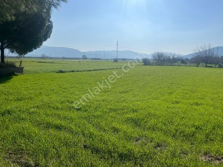 Bodrum Mumcularda Satılık Fırsat Yatırımlık Tarla