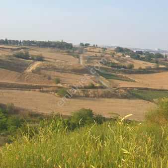 Profesyoneller Gayrimenkul Den Süleymanpaşa Topağaç Da 303 M2 Satılık Arsa