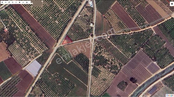 Silifke Taşucu'nda Satılık Tarla