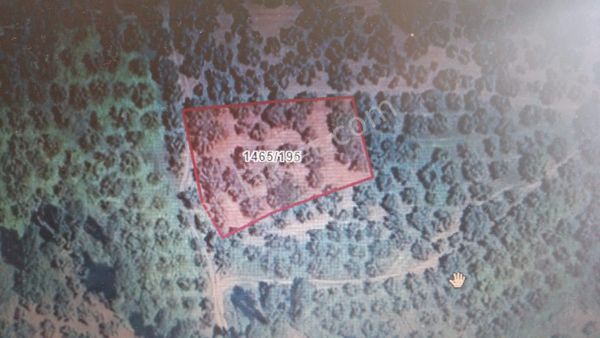 Gemlik Satılık Zeytinlik Engürücük Mah. Depolama Ve Sanayi İmarına Yakın Yatırımlık 1055m2.