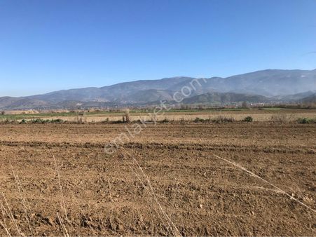 Grand Egelim Emlaktan Fırsat Satılık Tarım Razisi