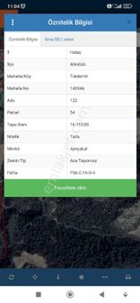 Yatırıma Uygun Zeytinlik