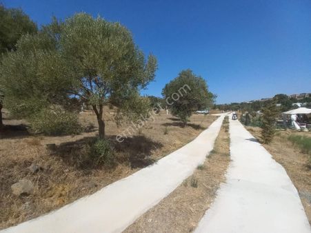 Urla Bademler'de Müstakil Yaşam